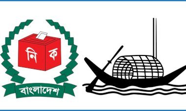 ‘নৌকা ছাড়াই’ স্থানীয় সরকার নির্বাচন, আইনে যা আছে