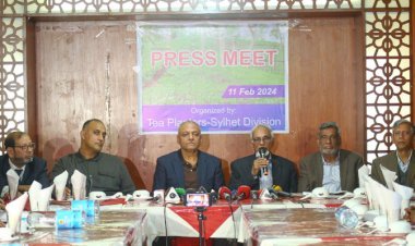 চা-শিল্পে সংকটের সমাধান চান বাগান মালিকরা