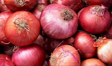পেঁয়াজ রপ্তানিতে নিষেধাজ্ঞার মেয়াদ বাড়াল ভারত