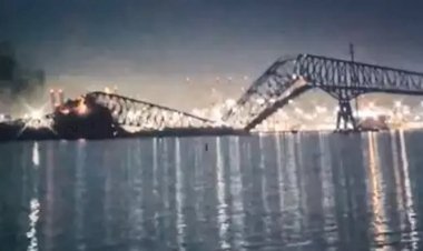 জাহাজের ধাক্কায় হুড়মুড়িয়ে ভেঙে পড়ল সেতু