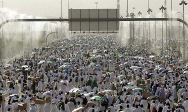 সৌদিতে এবার ৫৫০ হজযাত্রীর মৃত্যু