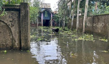 সুনামগঞ্জে পানি কমছে, দুর্ভোগ কমছে না