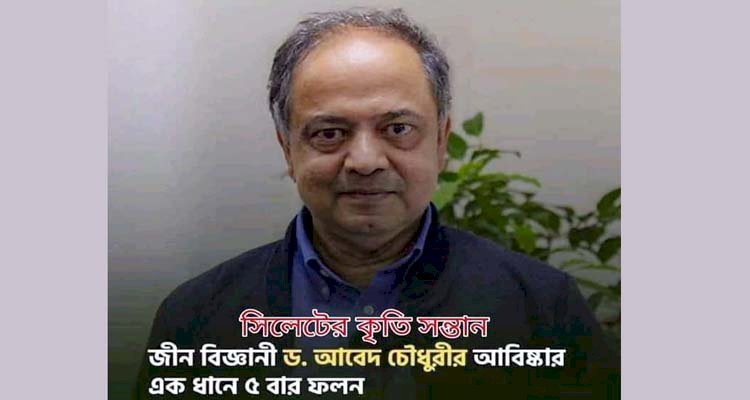 জীন বিজ্ঞানী ড. আবেদ চৌধুরীর আবিষ্কার: এক ধানে ৫ বার ফলন