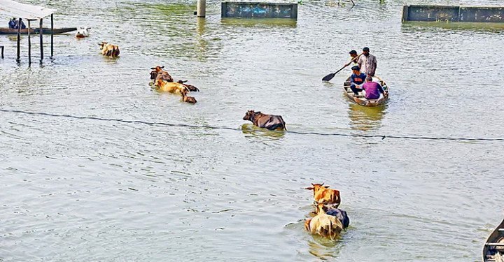 সিলেট ও সুনামগঞ্জে পানি নামছে ধীরগতিতে, ভেসে উঠছে বন্যার ক্ষত