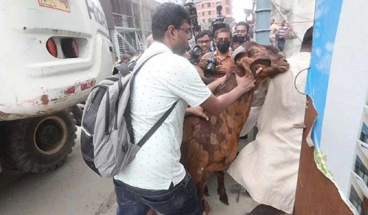 সাদেক এগ্রোতে উচ্ছেদ অভিযান, সরানো হলো ১৫ লাখ টাকার সেই ছাগল