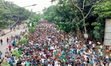 রাষ্ট্রপতি বরাবর স্মারকলিপি দিলেন আন্দোলনরত শিক্ষার্থীরা