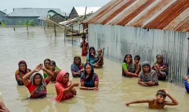 বন্যায় বিপর্যস্ত ১৩ জেলায় মানবিক বিপর্যয়