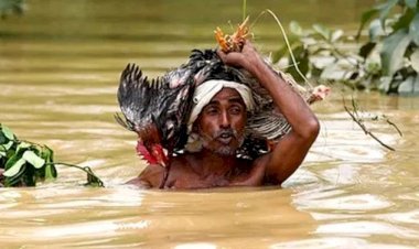 বন্যায় মৃত্যু বেড়ে ৬৭