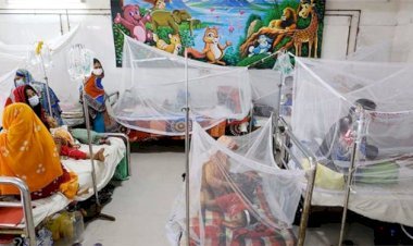 ভয়াবহ রূপ নিচ্ছে ডেঙ্গু, সাত দিনে ২৫ মৃত্যু