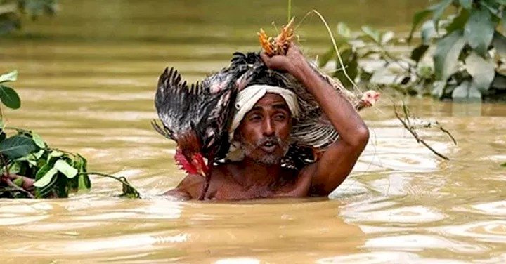 বন্যায় মৃত্যু বেড়ে ৬৭