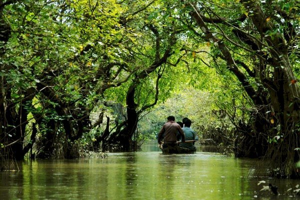 পর্যটক হারাচ্ছে সিলেটের রাতারগুল