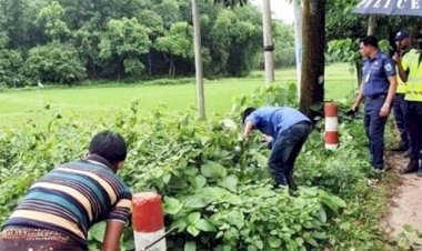 হবিগঞ্জে পৃথক সড়ক দুর্ঘটনায় নিহত ২