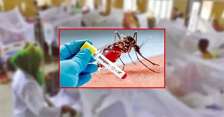 অক্টোবরের ১৮ দিনে ডেঙ্গুতে প্রাণহানি ৭৪ জন