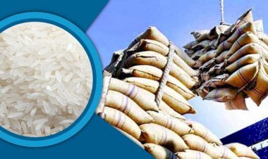 চালের দাম সহনীয় রাখতে আমদানি শুল্ক প্রত্যাহার