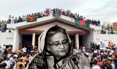 আ.লীগ সরকার পতনের তিন মাসে শেখ হাসিনার নামে ২৩৭ মামলা