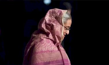 ভারতে শেখ হাসিনার ১০০ দিন : কীভাবে রয়েছেন, সামনেই বা কী?