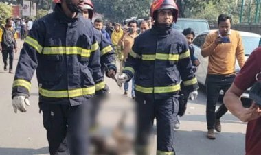সচিবালয়ের ৮ তলায় মিলল কুকুরের দগ্ধ মরদেহ, চাঞ্চল্যের সৃষ্টি