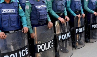 ফৌজদারি মামলার তদন্ত থেকে পুলিশকে সরিয়ে দেয়ার প্রস্তাব