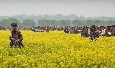 সীমান্তে বেড়া নির্মাণ বন্ধ রাখার সিদ্ধান্ত বিএসএফের