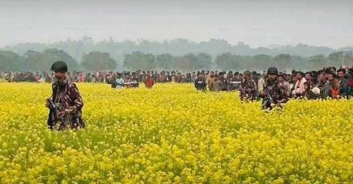 সীমান্তে বেড়া নির্মাণ বন্ধ রাখার সিদ্ধান্ত বিএসএফের