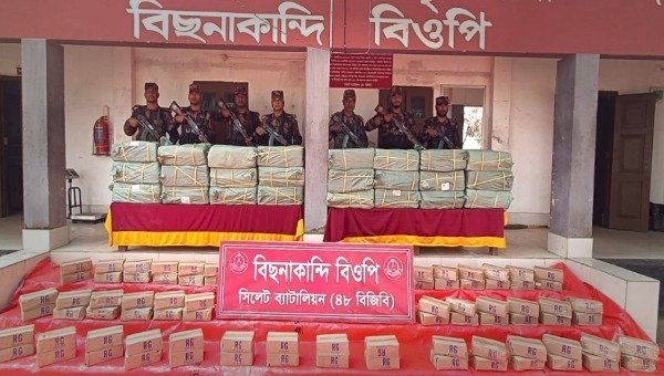 সিলেট ও সুনামগঞ্জ সীমান্ত থেকে প্রায় সাড়ে ৫ কোটি টাকার চোরাই পণ্য জব্দ