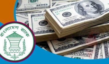 ফেব্রুয়ারিতে রেমিট্যান্স এলো রেকর্ড ৩১ হাজার কোটি টাকা