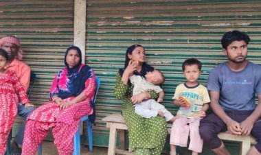 কুলাউড়া সীমান্ত দিয়ে নারী-শিশুসহ ৭ জনকে পুশইন করল বিএসএফ