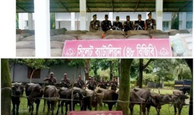 সিলেটে ১ কোটি ৯৩ লাখ টাকার ভারতীয় চোরাই মালামাল জব্দ