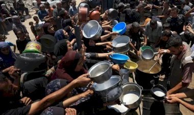 গাজায় ক্ষুধায় লুটিয়ে পড়ছে মানুষ