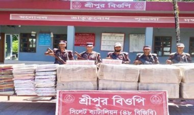 সিলেটের সীমান্তে ৩ কোটি ২৬ লাখ টাকার চোরাই পণ্য জব্দ