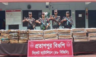 সিলেট সীমান্তে ১ কোটি ২০ লাখ টাকার ভারতীয় পণ্য জব্দ