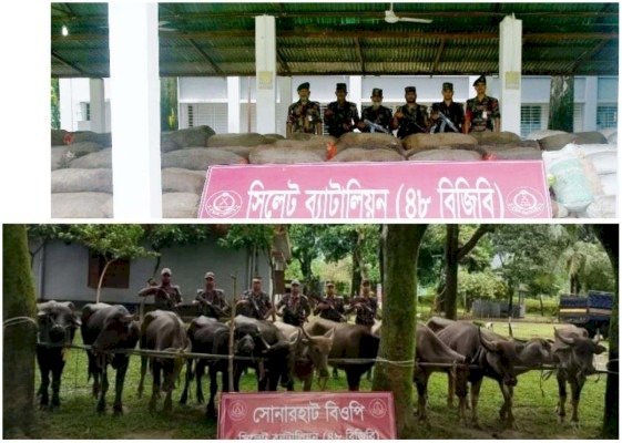 সিলেটে ১ কোটি ৯৩ লাখ টাকার ভারতীয় চোরাই মালামাল জব্দ