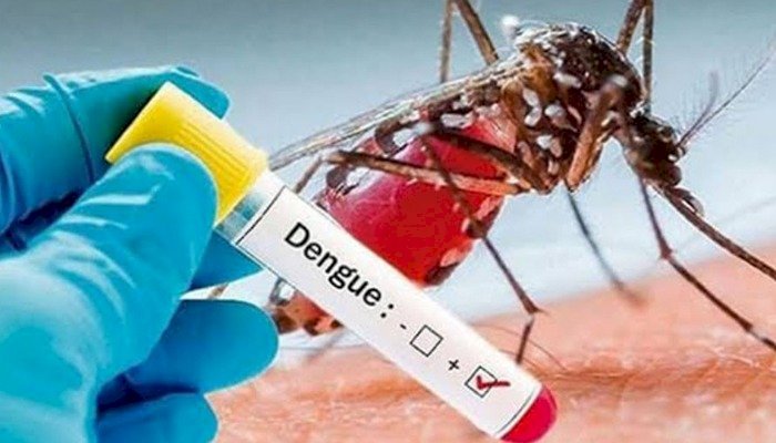 ২৪ ঘণ্টায় ডেঙ্গুতে ৩ জনের মৃত্যু
