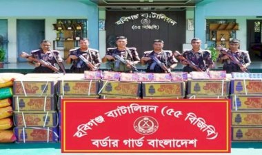 হবিগঞ্জে ৭৪ লাখ টাকার ভারতীয় মাদক ও চোরাচালানী পণ্য জব্দ