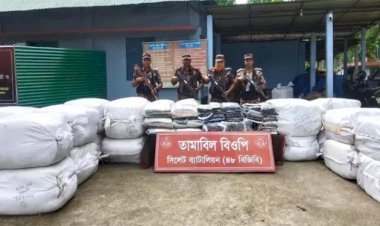 সিলেটে সীমান্তে ২ কোটি ৩৮ লাখ টাকার  চোরাচালানী মালামাল জব্দ