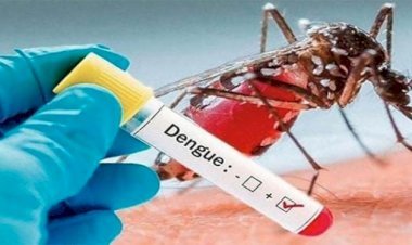 সিলেটে ২৪ ঘণ্টায় ১০ জনের দেহে ডেঙ্গু শনাক্ত