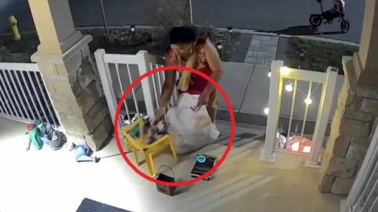 কানাডায় প্রতিবেশীর হ্যালোইন ক্যান্ডি চুরি করে ভাইরাল ভারতীয় নারী