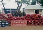 সিলেট সীমান্তে ৪ কোটি টাকার ভারতীয় পণ্য জব্দ