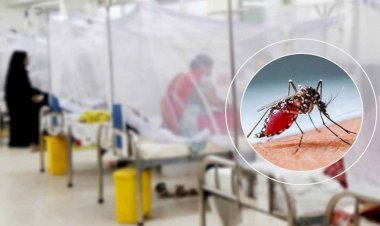 ডেঙ্গু আক্রান্ত রোগীর সংখ্যা ৭০ হাজার ছাড়াল