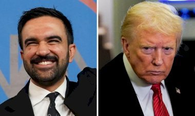 মামদানির জয়ে আমরা সার্বভৌমত্ব হারিয়েছি : ট্রাম্প