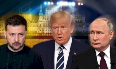 ট্রাম্পের শান্তি পরিকল্পনা: ইউক্রেনকে ভূখণ্ডের সঙ্গে ছাড়তে হবে ন্যাটোর আশাও