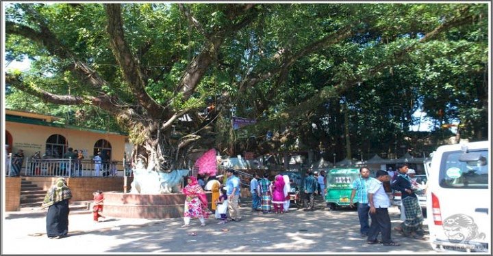 শাহপরাণ মাজারের পুকুরে যুবকের গলা-কাটা মরদেহ উদ্ধার