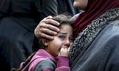 যুদ্ধবিরতির পরও গাজায় ইসরায়েলের প্রাণঘাতি হামলা: নিহত ২৩