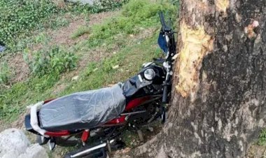 সুনামগঞ্জে শিমুল বাগান ঘুরতে গিয়ে প্রাণ গেল তরুণের, আহত দুই বন্ধু