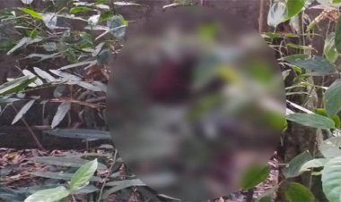 সিলেটে জঙ্গলে মিলল নিখোঁজ তরুণীর মরদেহ