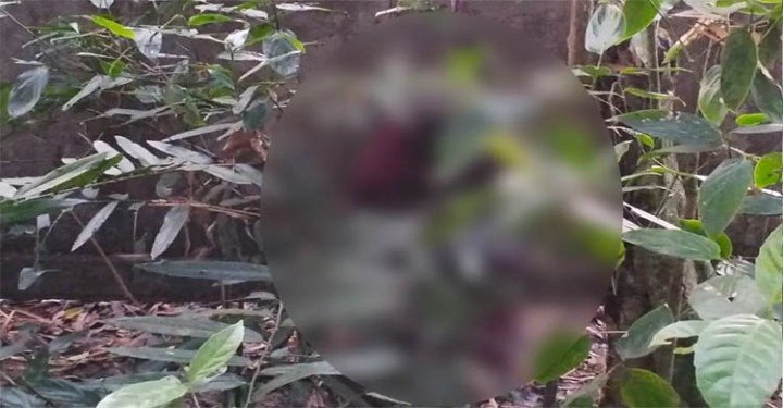 সিলেটে জঙ্গলে মিলল নিখোঁজ তরুণীর মরদেহ
