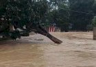 অতিবৃষ্টি-বন্যায় ৭ জেলায় নিহত ৫৪, ক্ষতিগ্রস্ত ৬ লাখের বেশি মানুষ