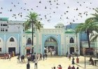 শাহজালাল মাজারে মানতের ১টি গরু বিক্রি হয় ৭ বার