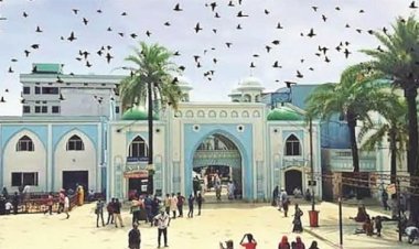 শাহজালাল মাজারে মানতের ১টি গরু বিক্রি হয় ৭ বার