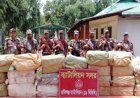 সিলেটে সীমান্তে ৭৮ লাখ টাকার ভারতীয় চোরাচালানি মালামাল জব্দ